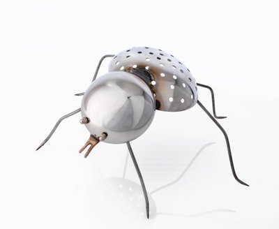 The Insect by Lawrie Simonson